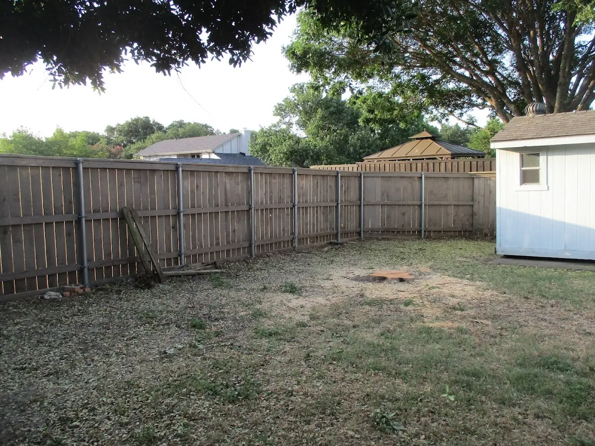 Cleared yard after professional tree removal in Douglas Flat