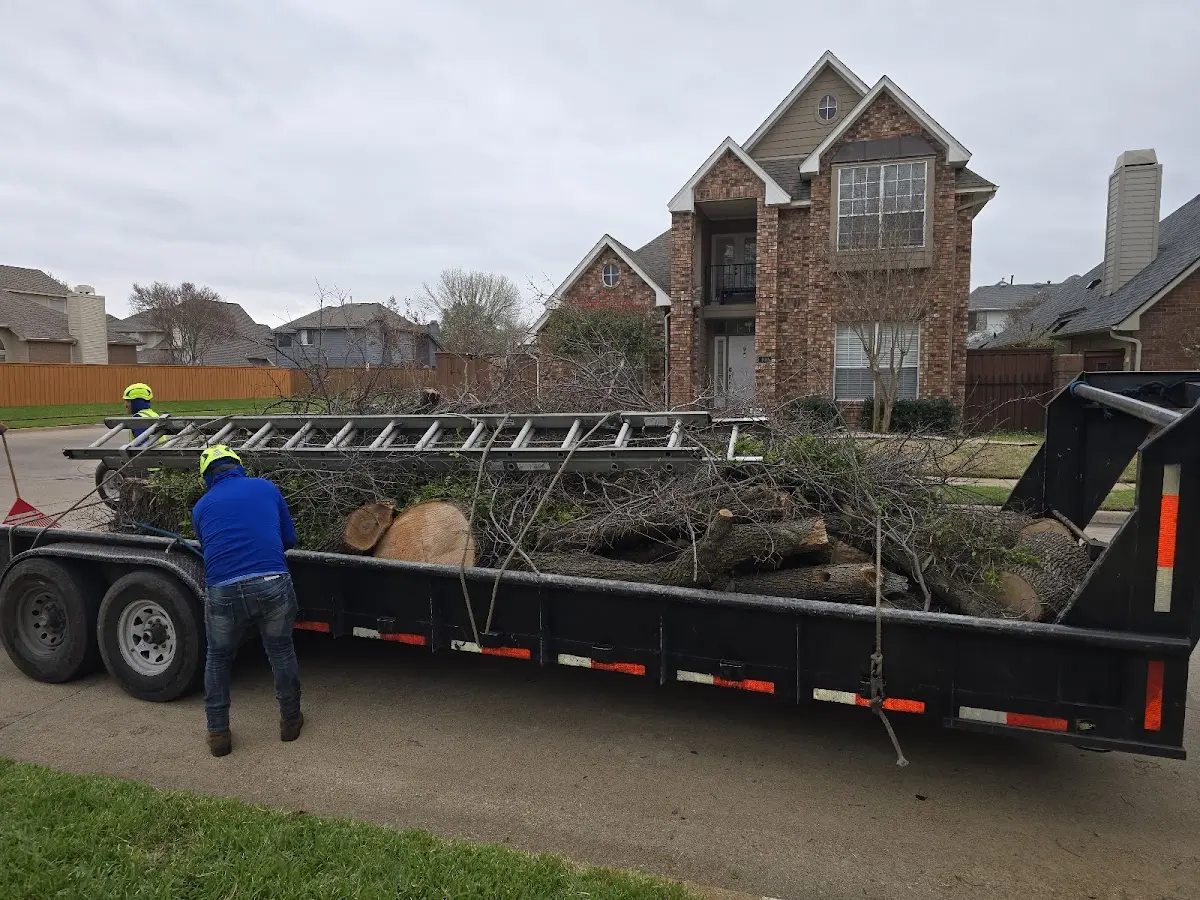 Expert Lot Clearing with proper safety equipment in Douglas Flat